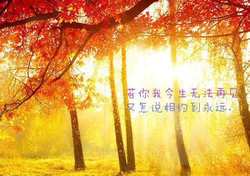 孕期饮食，孕妇如何吃早餐？
