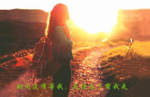 枸杞子养生新招