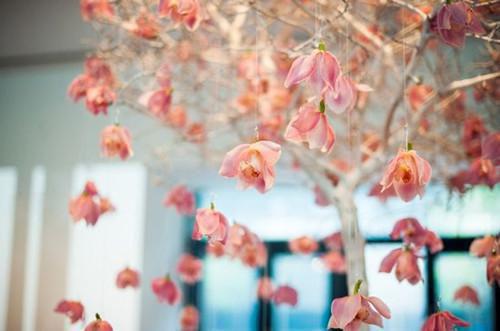 男人必吃的8种排毒食物