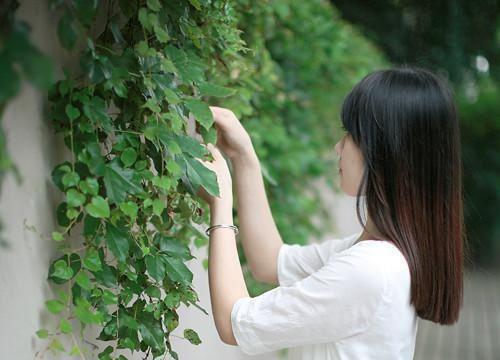 发烧别喝茶