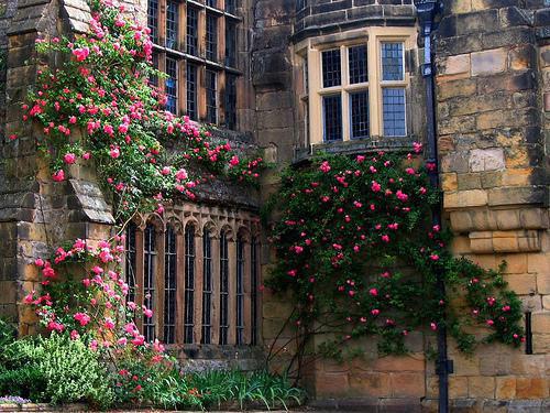 女性养好胃 早餐吃这些