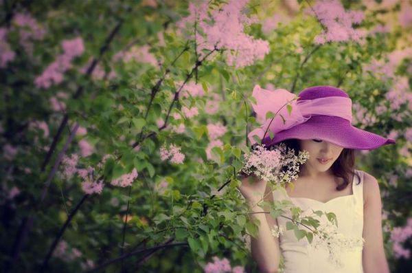 六款牛奶食疗药膳