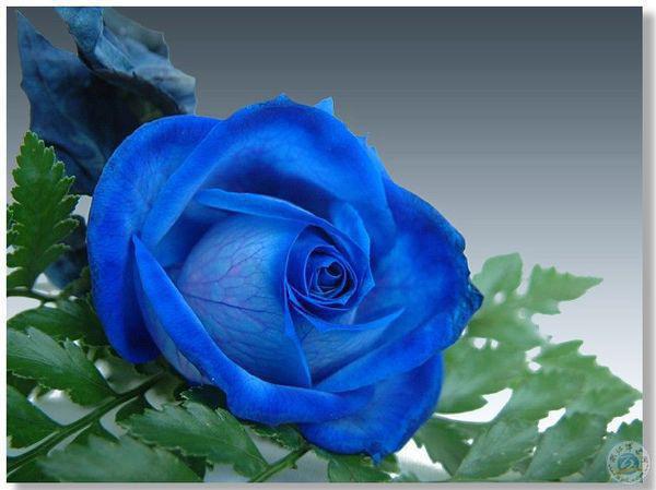 气温骤降，这些食物可以为你提高抵抗力！