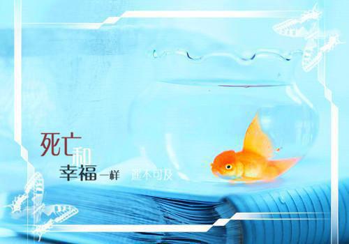 女性养生汤，越喝越年轻