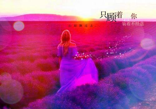 西梅的好处多，这7大功效你要知道