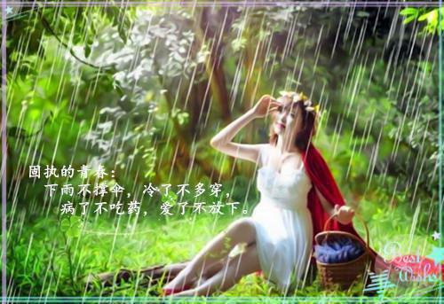 血管清道夫 多吃排毒