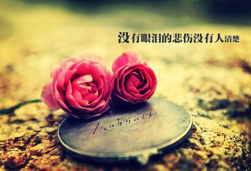 大枣益气补虚六食疗方