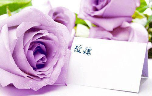 长寿秘诀让你多活三十年
