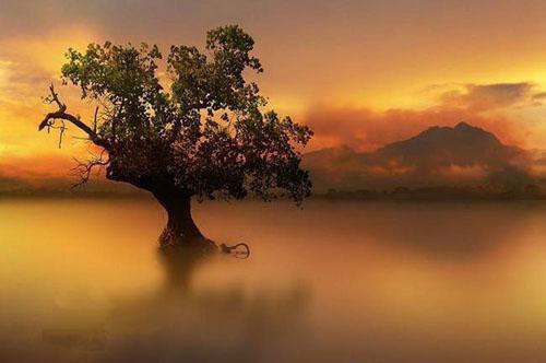 不同体质女性如何冬补