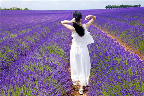 餐桌上的防病搭档 美味养生两不误