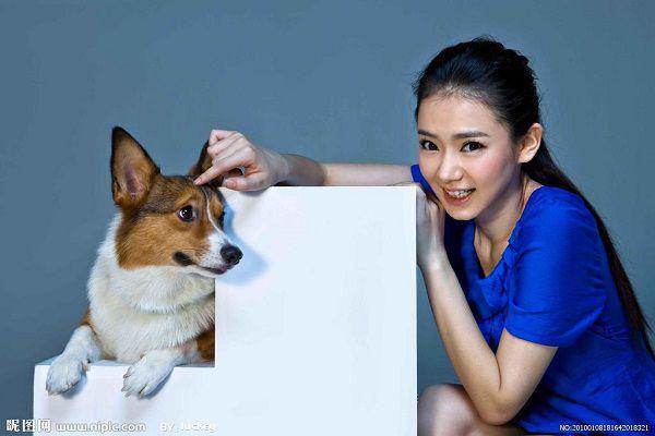 大白菜也能调脾养胃