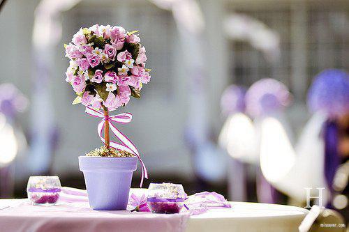 6因素导致女性贫血