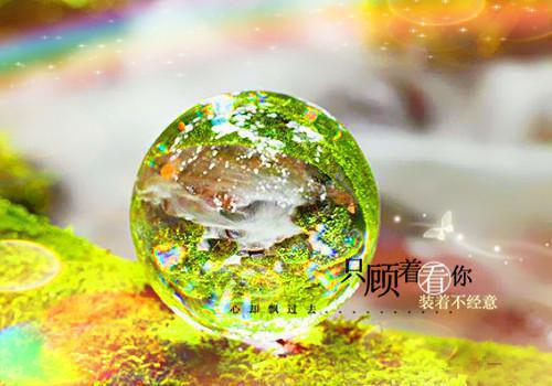全麦食品虽好但孩子应少吃