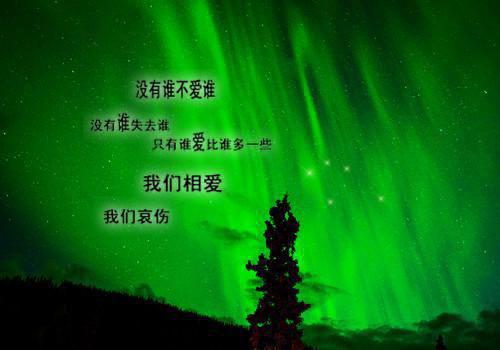 秋季吃六种菇增强免疫力