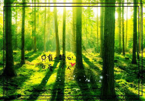 冬季白萝卜食疗法