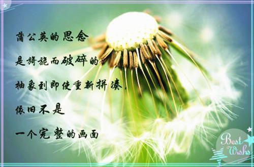 冬季进补如何补脑