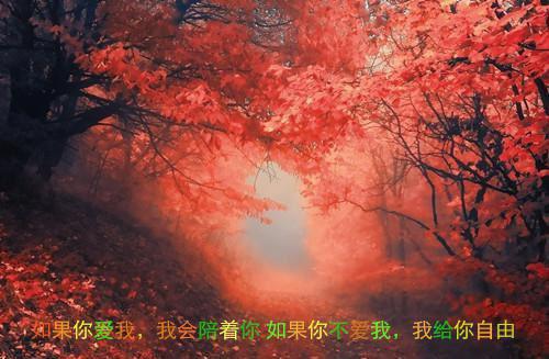备孕排毒吃15种食物，清楚体内毒素
