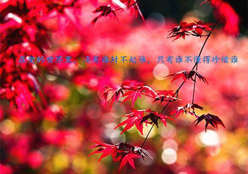 孕妇喝豆浆有什么好处？