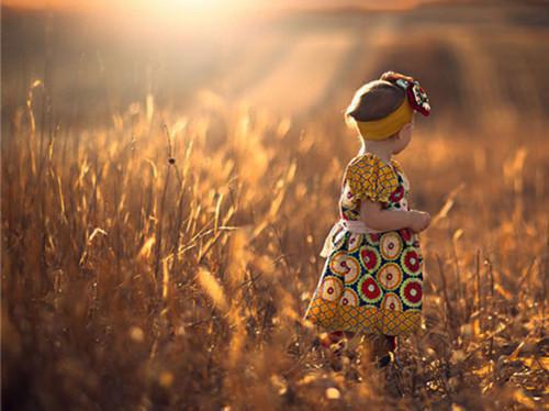 牡蛎的药用价值