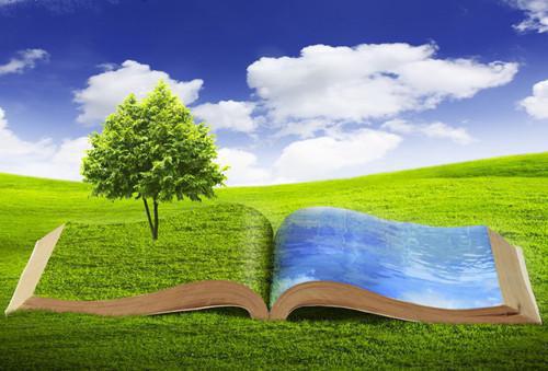 颈部不适喝杯葛根茶