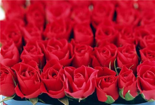 日常应多食用的绿色蔬菜