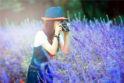 木瓜N种真正营养吃法