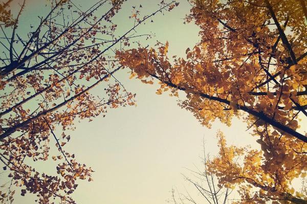 女人养肾必备四种水果