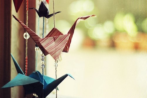 春季食百草 清洁毒素巧养生