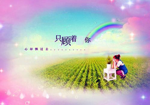 春季补血安神 教你鲫鱼蒸蛋