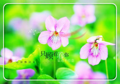 14种壮阳食物 补肾益精