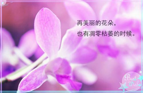 温凉寒热要平衡 宝宝膳食注意6个原则
