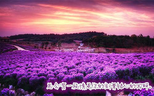 日常补肾食物，吃着吃着肾就好了