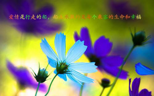 常吃这5物 心情超明朗