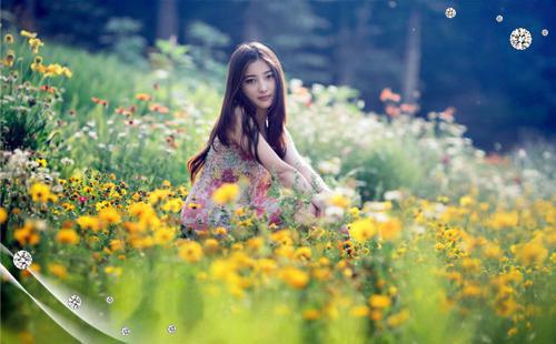 三黄鸡的营养价值