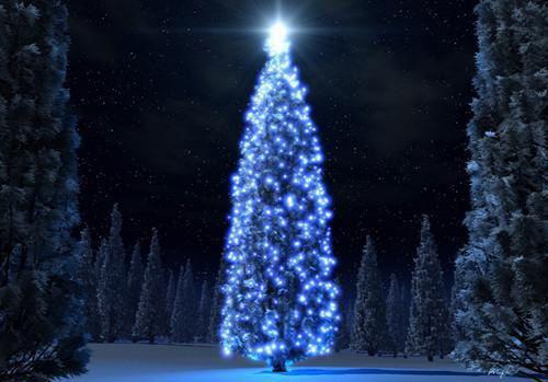 血液有垃圾？5种食物帮清理