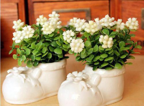 四款芒果保健食谱