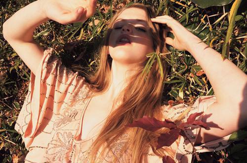 海马的药用价值