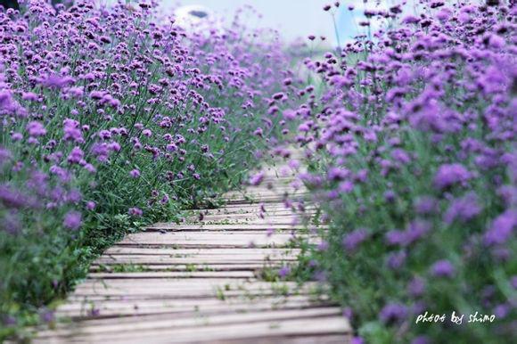 十种食物强壮骨骼