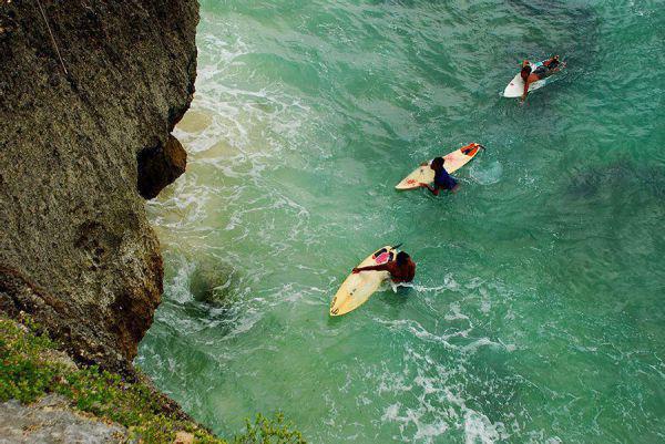 芦笋营养价值剖析