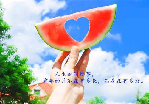 食物补血六种美食