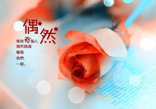 椎间盘突出症食疗方