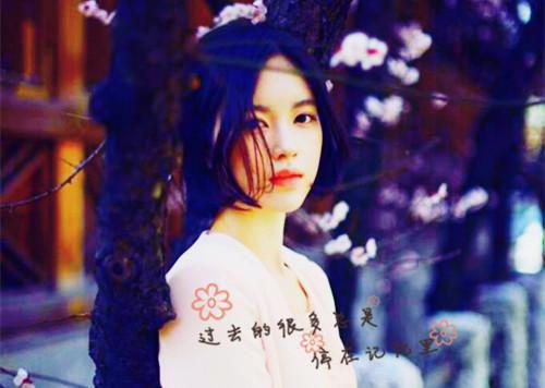 六种花的养生食疗方