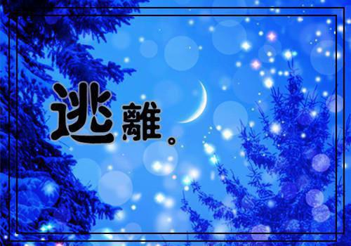 预防心脑血管疾病 老人得多吃这些菌类