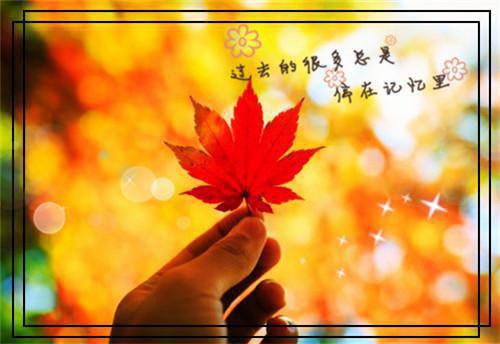 产妇妈咪营养餐