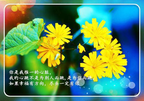 补气补血 红糖功效大起底