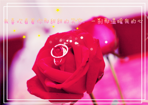 菠菜的营养价值