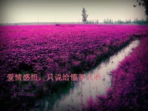 “吃白变白，吃黑变黑”不可靠