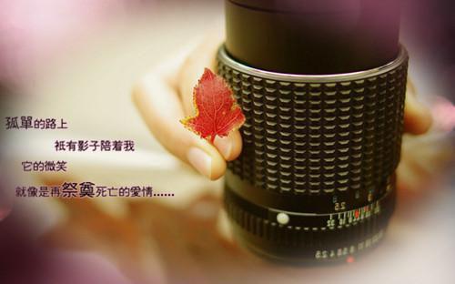 桂花入药可治多种病症