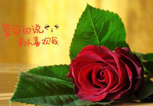 孩子不吃早餐会变笨？