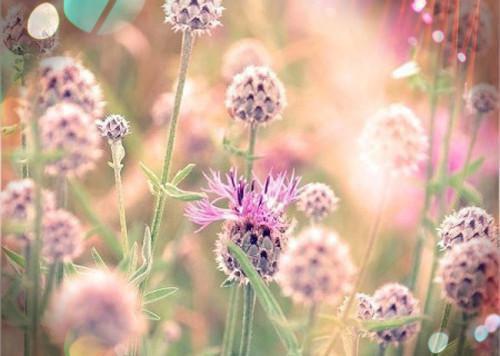 不宜多吃的美食